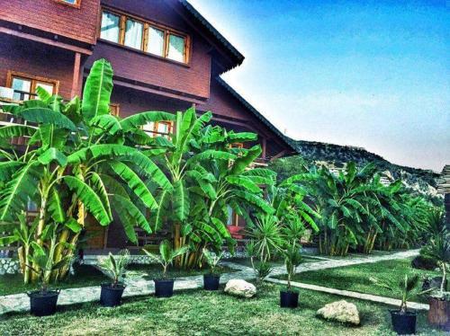 Villa Guesthouse Vila Druri Dhermi