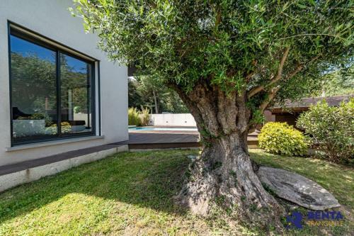 Villa L'olivier Piscine Jardin Wifinetflix