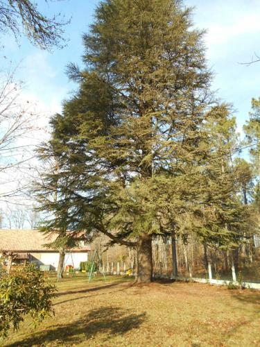 Hostal Chambres D�hotes Villa Capsylvaine