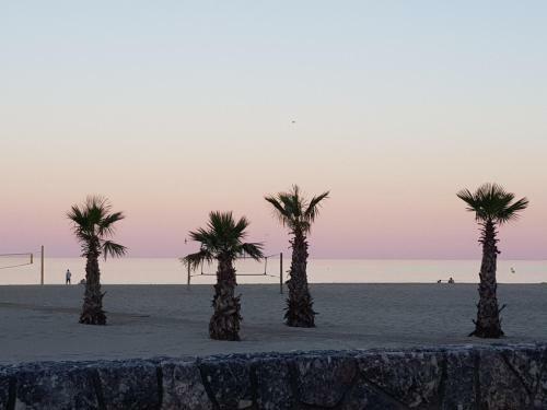 Apartamentos Le Neulos,av Roussillon Canet-plage