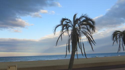 Apartamentos Le Neulos,av Roussillon Canet-plage
