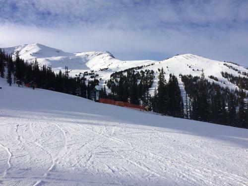 Hostal Fitzhugh House Guest Accomodation