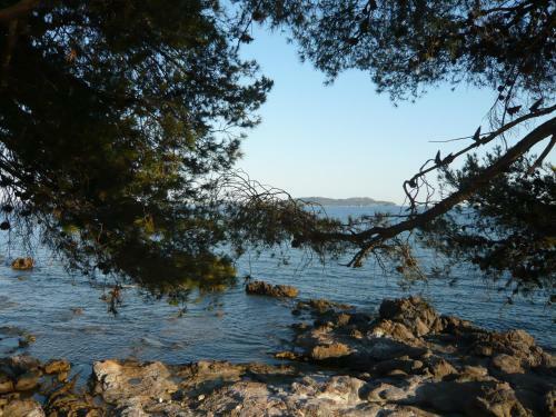 Apartamento Appartement � Carqueiranne