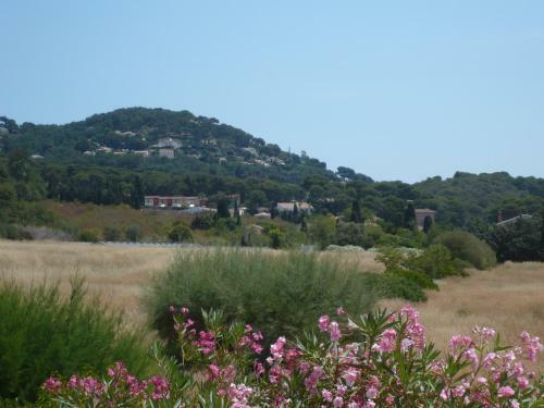 Apartamento Appartement � Carqueiranne