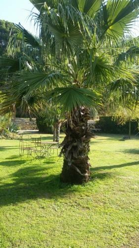Bed & Breakfast Provence