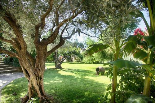 Bed & Breakfast Bastide Sainte Agn�s