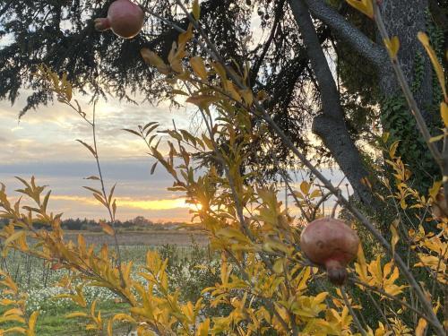 Modern Villa In Carpentras With Swimming Pool