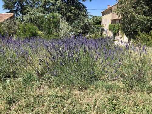 Modern Villa In Carpentras With Swimming Pool