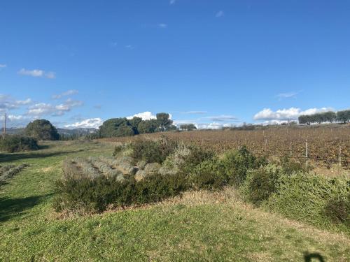 Modern Villa In Carpentras With Swimming Pool