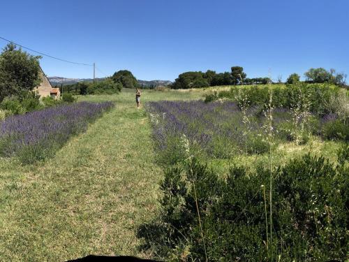 Modern Villa In Carpentras With Swimming Pool