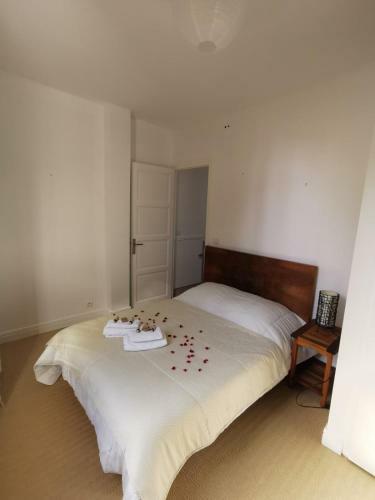 Villa Bagatelle Carqueiranne With Its Pool