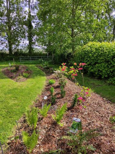 Hostal Manoir Du Kasteelveld