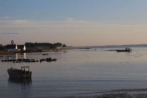 Apartamentos Tribord La Maison De L'�ne