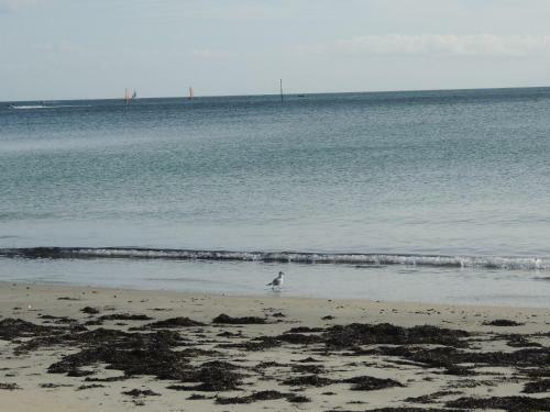 Apartamento Port An Dro