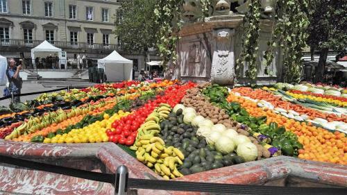 Cosy In Carcassonne!