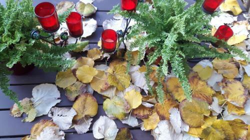 Chambre Priv�e Proche De La Cit�