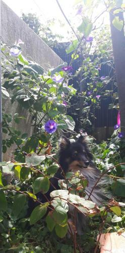 Chambre Priv�e Proche De La Cit�