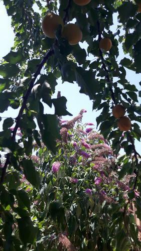 Chambre Priv�e Proche De La Cit�