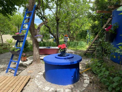 Bed & Breakfast Carcazen