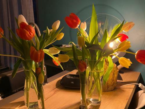 Bed & Breakfast Carcazen