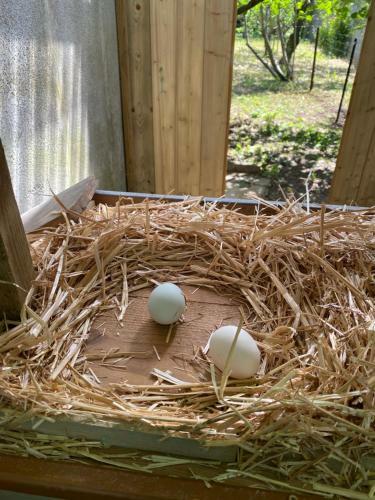 Bed & Breakfast Carcazen