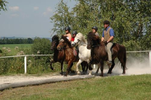 Hostal Landgasthof Zur Linde Laaben