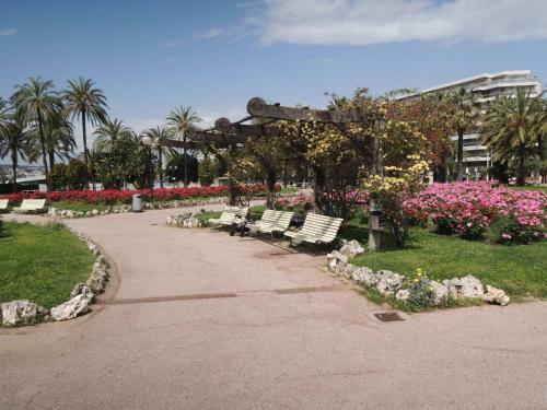 Apartamento Totolulu Cannes Yellow Corner