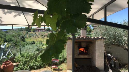 Il Mandorlo
