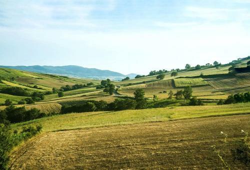 Agroturismo Le Pitture Casa Di Campagna