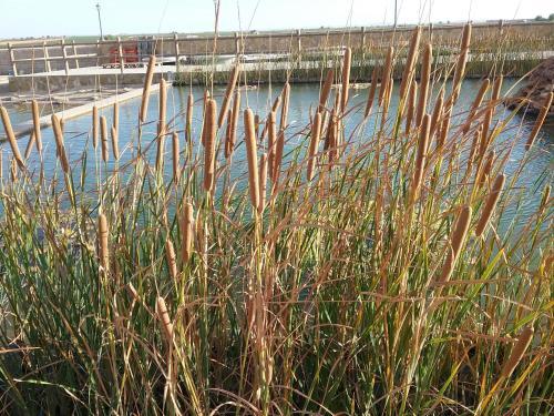 Hotel Vi�edos Y Bodegas El Castillo