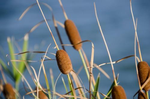 Hotel Vi�edos Y Bodegas El Castillo