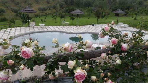Agroturismo Angolo Di Paradiso