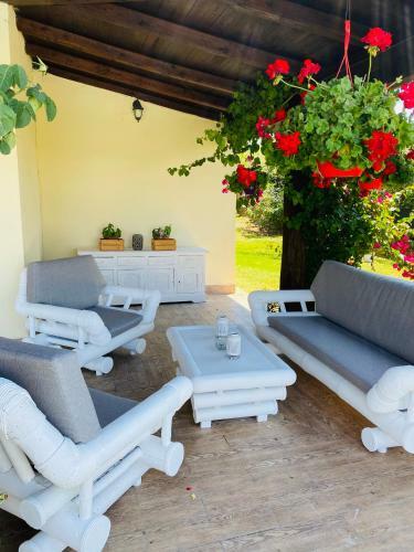 Villa Chanel Garden Relaxation Home