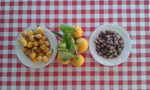 Hostal Villa Lucia Affitta Camere