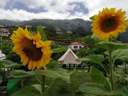 Agroturismo Granny's Farm