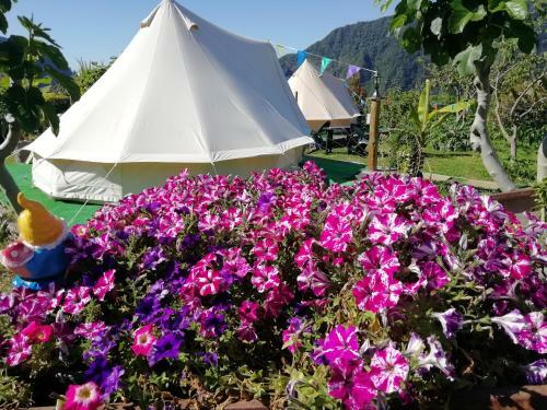 Agroturismo Granny's Farm