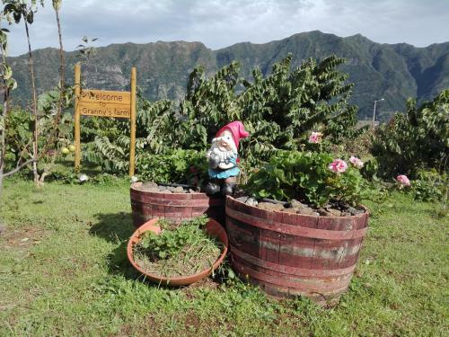 Agroturismo Granny's Farm