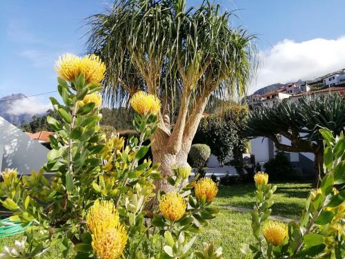 Agroturismo Granny's Farm