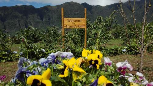 Agroturismo Granny's Farm