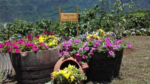 Agroturismo Granny's Farm