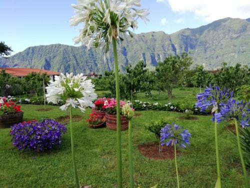 Agroturismo Granny's Farm