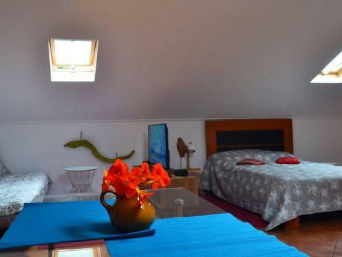 Apartamento Lazy Lizard Studio