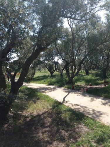 Apartamento Casa Do Rio - Riverside House