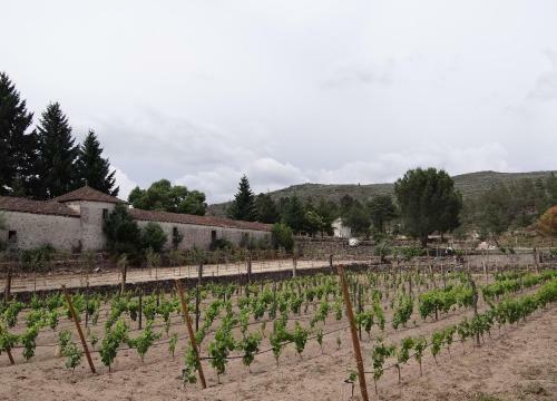 Agroturismo Museu Casa Aleixo