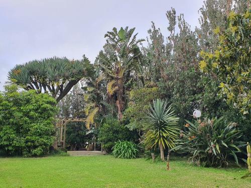 Casa Baleia � Vista