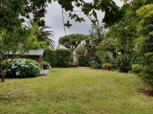 Casa Baleia � Vista