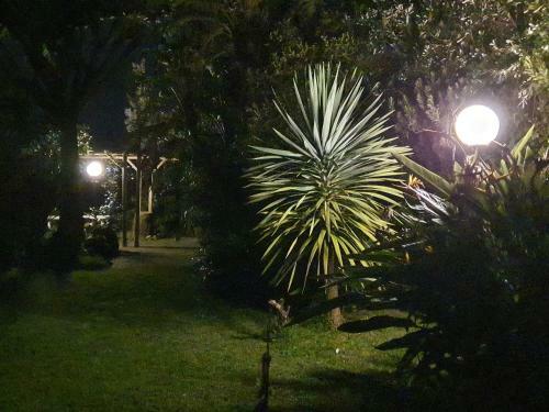 Casa Baleia � Vista