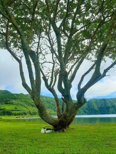 Sete Cidades Nature Villa