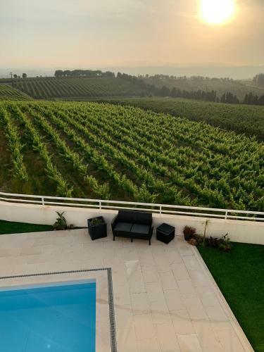 Casa Da Colina - Villa In The Countryside