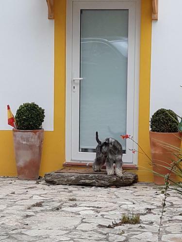 Apartamento Quintal Do Freixo - Country House